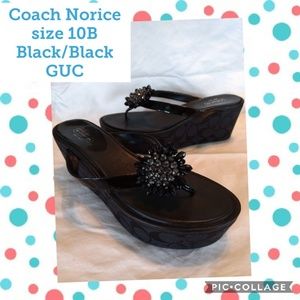 Coach Norice Platform Flip Flops